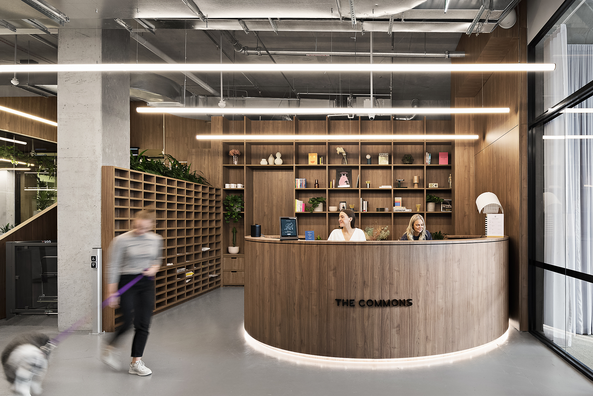 Interior photograph of The Commons Cremorne by Spacecraft